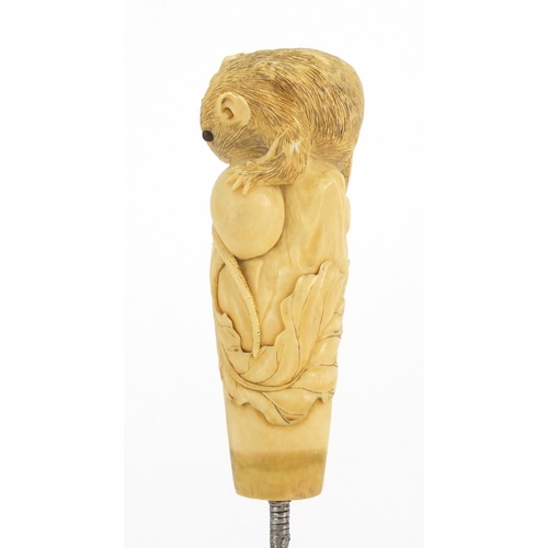 437 - Japanese ivory parasol handle, finely carved with a rat and snail, 13cm in length