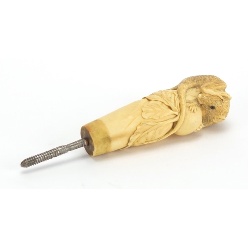 437 - Japanese ivory parasol handle, finely carved with a rat and snail, 13cm in length