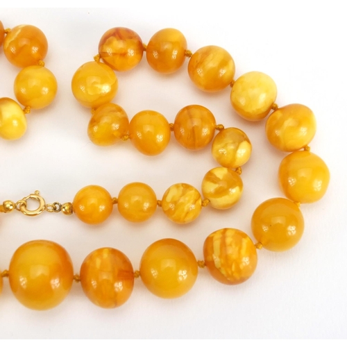 781 - Two butterscotch amber coloured bead necklaces, the largest 70cm in length,  approximate weight 111.... 