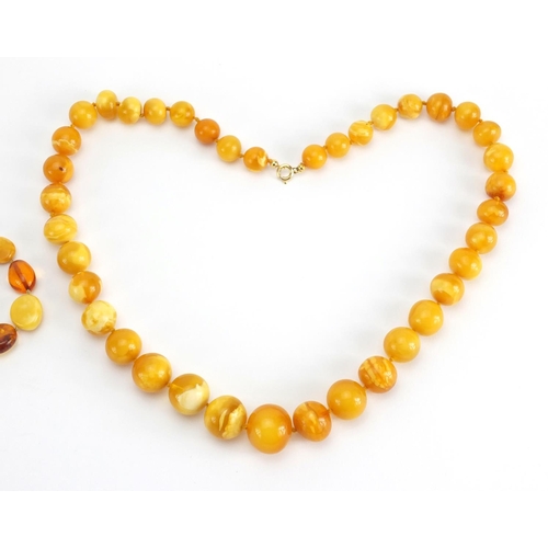 781 - Two butterscotch amber coloured bead necklaces, the largest 70cm in length,  approximate weight 111.... 