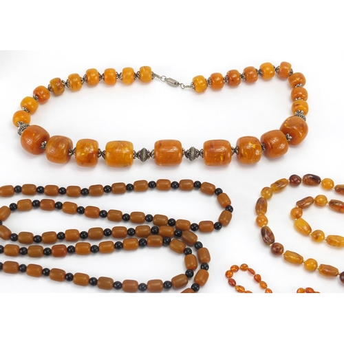 782 - Seven natural and butterscotch amber coloured bead necklaces, the largest 140cm in length, approxima... 