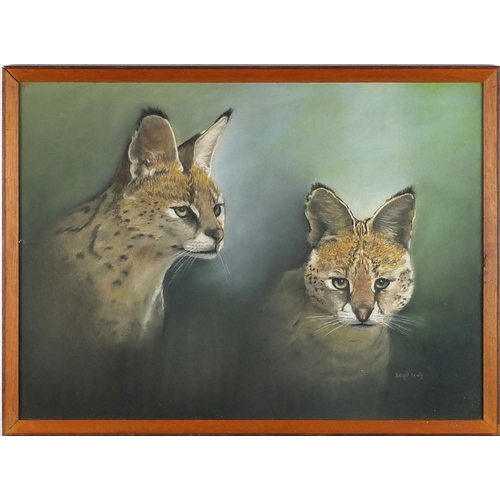 1149 - Brian Lewis - Two fennec foxes, pastel on paper, framed, 59cm x 43cm