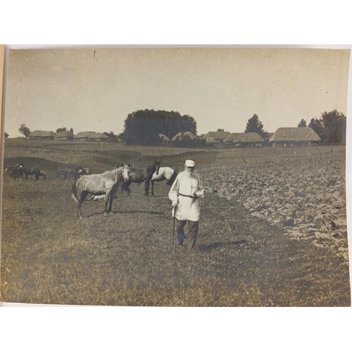 173 - Black and white photograph of Leo Tolstoy, Russian writer in a field with cattle and a portrait of T... 