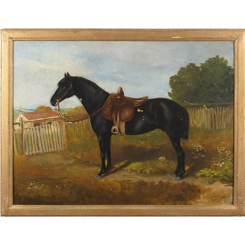 1053 - After Harry Hall - Portrait of a horse, 19th century oil on canvas, framed, 59cm x 44cm