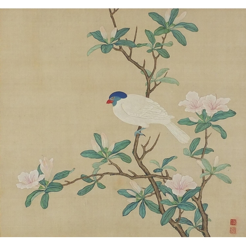 461 - Three Chinese watercolours, two of bamboo and one of a bird on a branch, all with character marks an... 