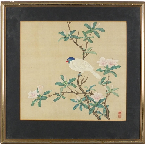 461 - Three Chinese watercolours, two of bamboo and one of a bird on a branch, all with character marks an... 