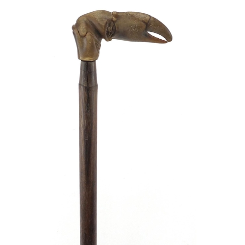 149 - Hardwood walking stick with horn handle carved in the form of a crab claw, possibly Rhinoceros horn,... 