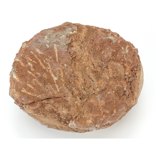 12 - Large fossilised dinosaur egg, 12cm H x 18cm W x 14cm D