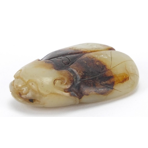 427 - Chinese pale green and russet jade carving of a beetle, 5.5cm in length