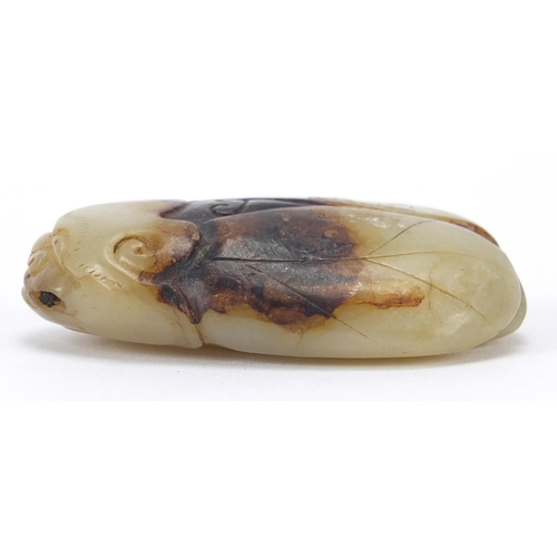 427 - Chinese pale green and russet jade carving of a beetle, 5.5cm in length