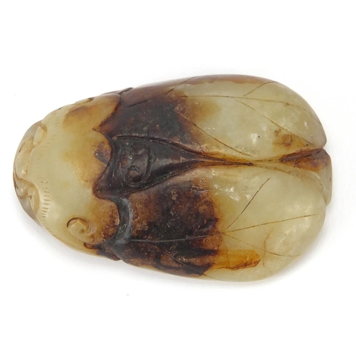 427 - Chinese pale green and russet jade carving of a beetle, 5.5cm in length