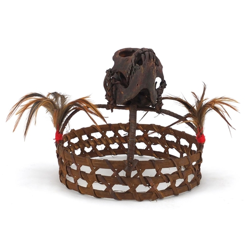 477 - Tribal interest headdress with monkey skull, possibly Burmese, 18cm high x 19cm in diameter