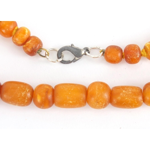 779 - Two amber coloured bead necklaces and a bracelet, the largest 70cm in length, approximate weight 99.... 