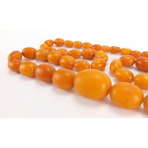 777 - Butterscotch amber bead necklace, 86cm in length, approximate weight 99.8g