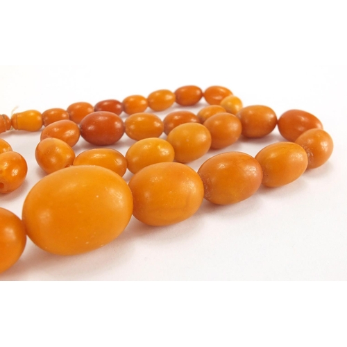 777 - Butterscotch amber bead necklace, 86cm in length, approximate weight 99.8g