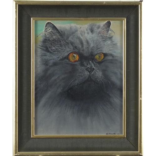 1156 - Portrait of a cat, Suzie, oil on board, bearing a signature C Tomblin, label verso, framed, 25cm x 1... 