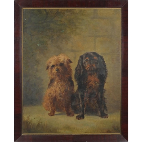 920 - Portrait of a King Charles Spaniel and Terrier with butterflies, oil on canvas, mounted and framed, ... 