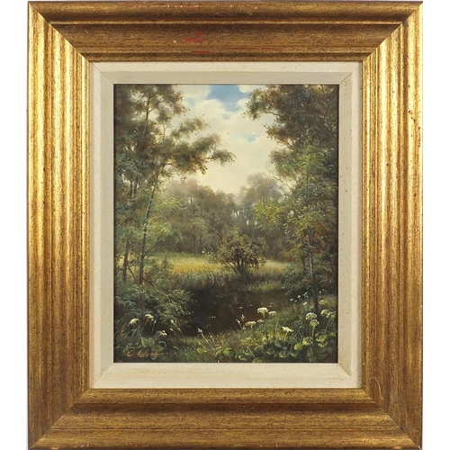 1169 - River through woodland, oil on board, bearing an indistinct signature, Arham? mounted and framed, 24... 