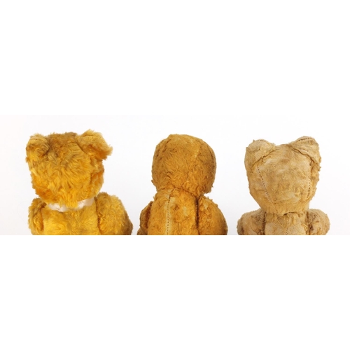 338 - Three vintage golden teddy bear's each with jointed limbs and beaded eyes, the largest 22cm high