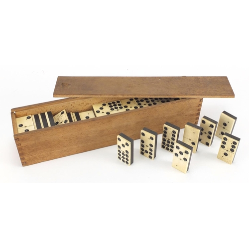 328 - Set of twelve bone and ebony dominoes with box, each domino 5cm x 2.5cm