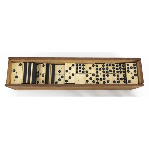 328 - Set of twelve bone and ebony dominoes with box, each domino 5cm x 2.5cm