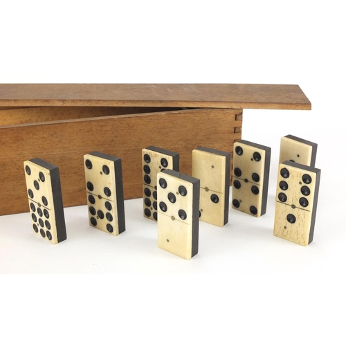 328 - Set of twelve bone and ebony dominoes with box, each domino 5cm x 2.5cm