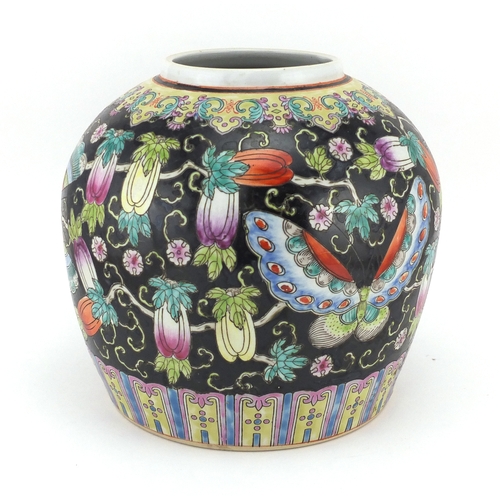 359 - Chinese porcelain ginger jar, hand painted in the famille noir palette with insects and fruit, 21.5c... 