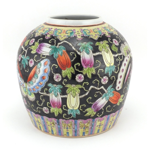 359 - Chinese porcelain ginger jar, hand painted in the famille noir palette with insects and fruit, 21.5c... 