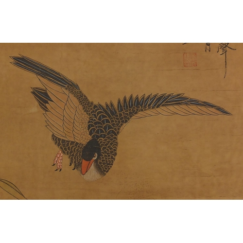 454 - Chinese paper scroll, hand painted with ducks, calligraphy script and red seal marks, 85.5cm x 45cm