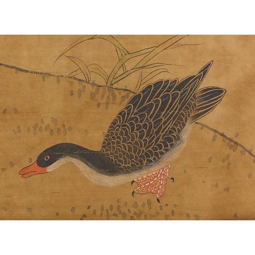 454 - Chinese paper scroll, hand painted with ducks, calligraphy script and red seal marks, 85.5cm x 45cm