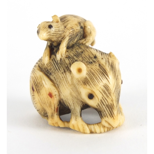 448 - Two Japanese carved Netsuke's, one of a seated figure, the largest 3cm high