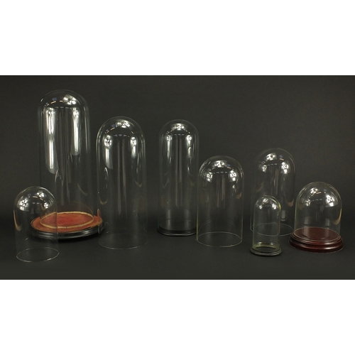 161 - Eight taxidermy interest glass domes, three with stands, the largest 44cm high