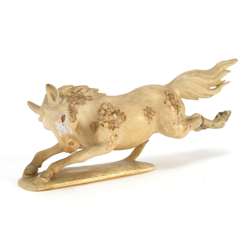 445 - Japanese carved ivory horse, 15cm in length