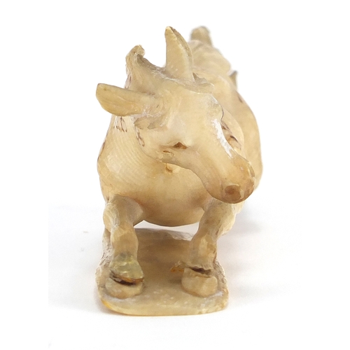 445 - Japanese carved ivory horse, 15cm in length