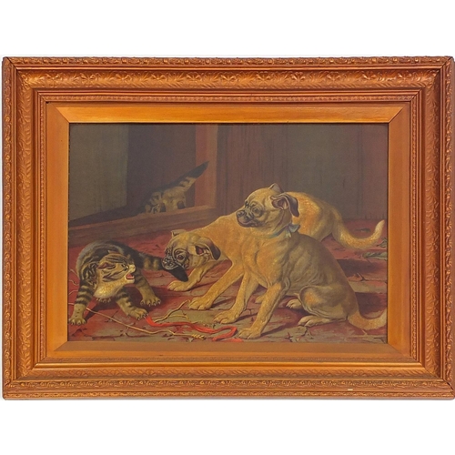 58 - Vintage lithographic prints of kittens and pug dogs, each framed, 48cm x 36cm