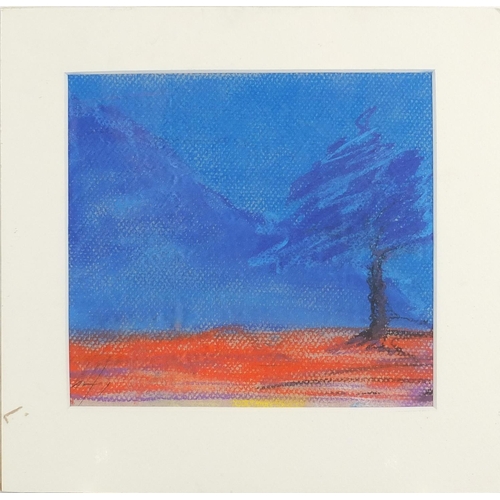 446 - Steve Godfrey - Spanish landscapes, set of five pastel on cards, all mounted and unframed, the large... 