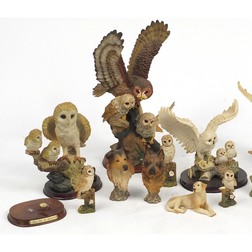 665 - Collection of decorative model owls, the largest 44cm high