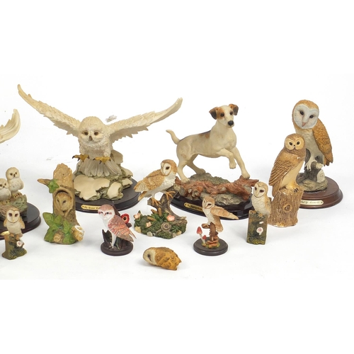 665 - Collection of decorative model owls, the largest 44cm high