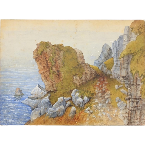 236 - Coastal scenes, one titled Daddy Hole Torquay, two 19th century heightened watercolours onto card, b... 