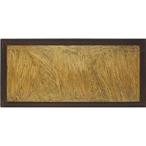 423 - Oak framed collage of wheat, barley and corn, 80cm x 35cm excluding the frame