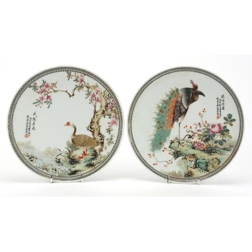 619 - Pair of Chinese porcelain footed plates, each hand painted in the famille rose palette with birds of... 