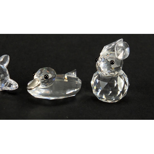 2301 - Four Swarovski Crystal animals including a cat and duck, all boxed, the largest 5.5cm wide