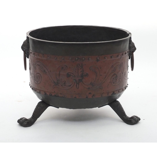 183 - Copper coal bucket with paw feet and lion mask handles, 29cm high x 34cm in diameter