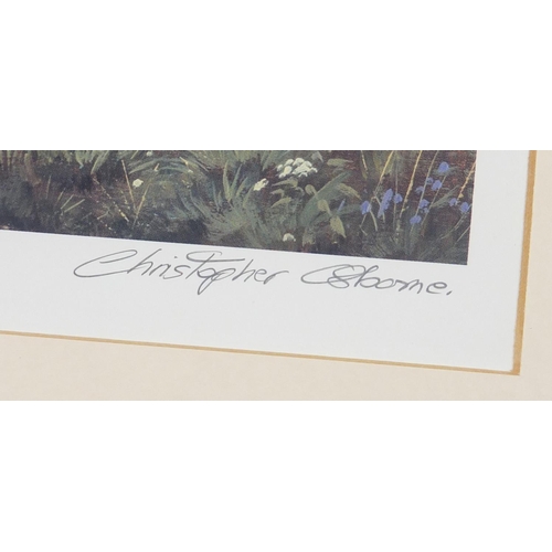 246 - Pair of Christopher Osborne pencil signed limited edition prints, titled 'Towards Eastbourne and Bel... 