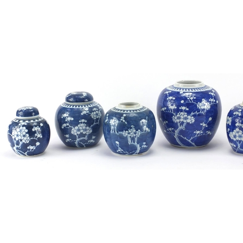 597 - Seven Chinese blue and white porcelain ginger jars, all hand painted with Prunus flowers, each with ... 