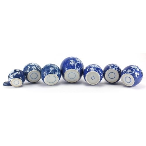 597 - Seven Chinese blue and white porcelain ginger jars, all hand painted with Prunus flowers, each with ... 