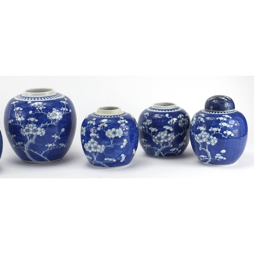 597 - Seven Chinese blue and white porcelain ginger jars, all hand painted with Prunus flowers, each with ... 