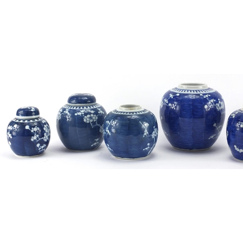 597 - Seven Chinese blue and white porcelain ginger jars, all hand painted with Prunus flowers, each with ... 