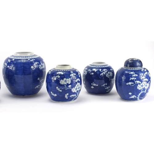 597 - Seven Chinese blue and white porcelain ginger jars, all hand painted with Prunus flowers, each with ... 