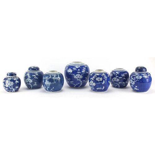 597 - Seven Chinese blue and white porcelain ginger jars, all hand painted with Prunus flowers, each with ... 